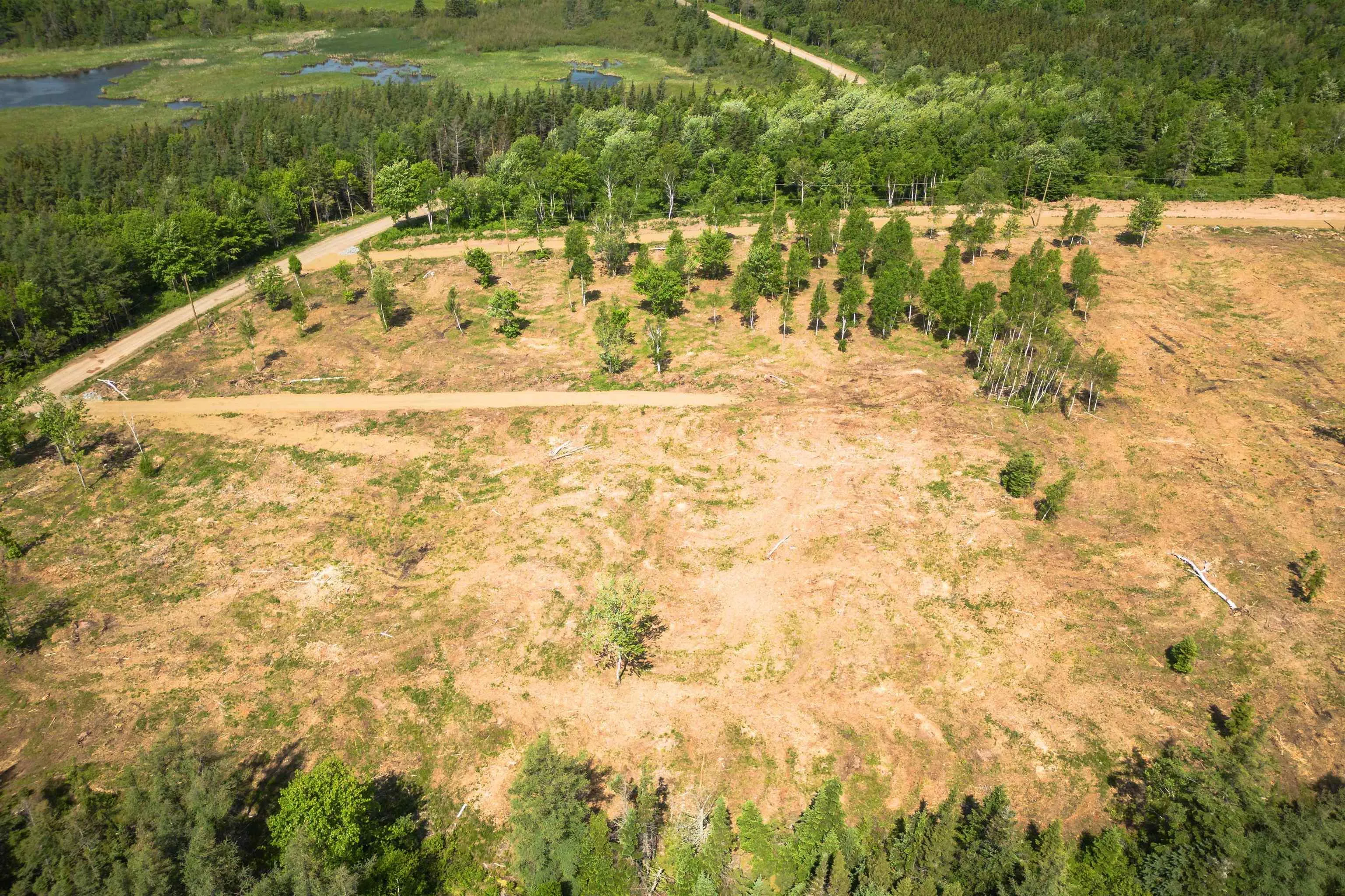 Whycocomagh-port Hood Road Lot 1, Mabou Ns B0e 1x0, ,Land,For Sale,Whycocomagh-Port Hood,202506913