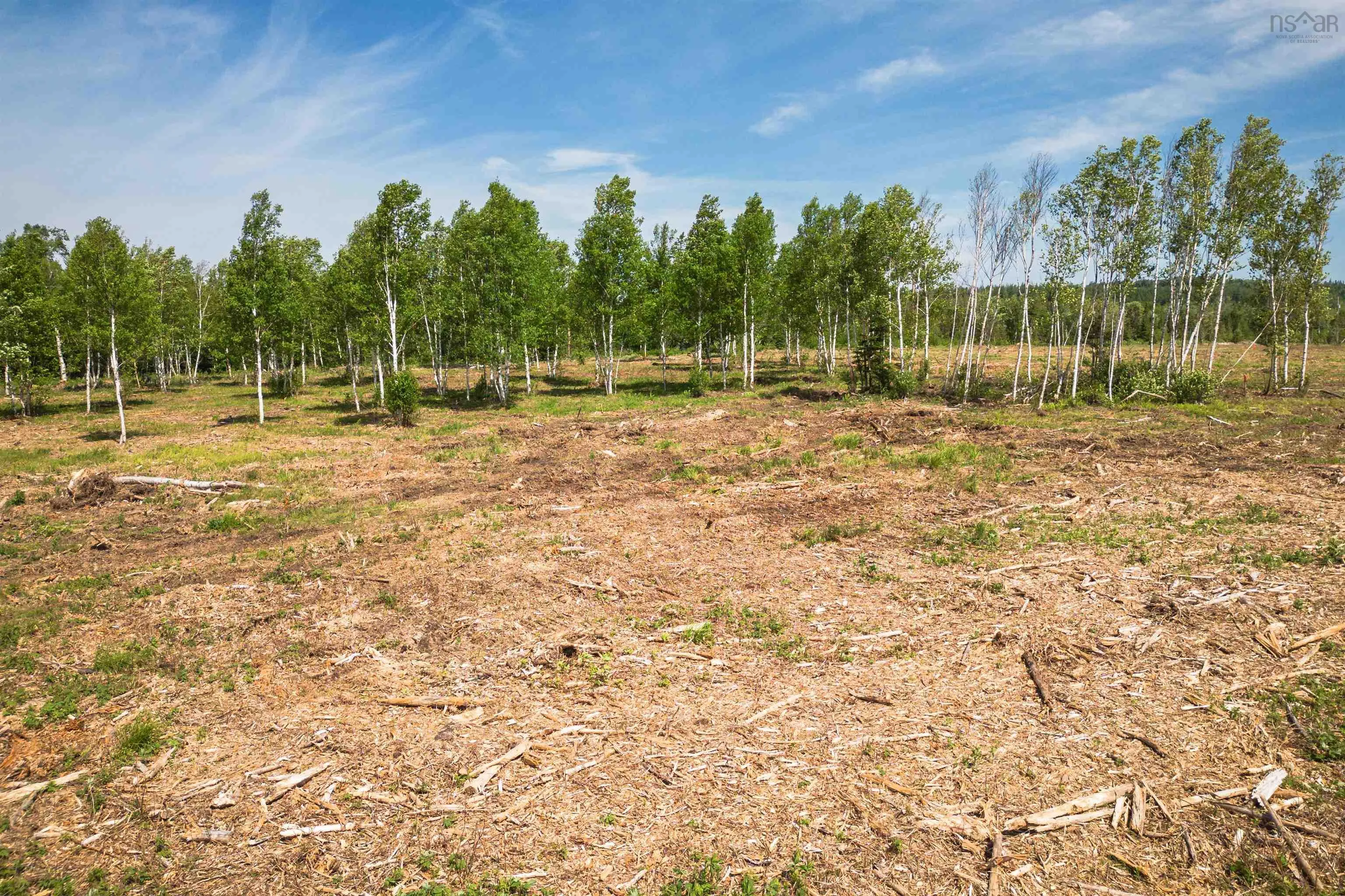 Whycocomagh-port Hood Road Lot 1, Mabou Ns B0e 1x0, ,Land,For Sale,Whycocomagh-Port Hood,202506913