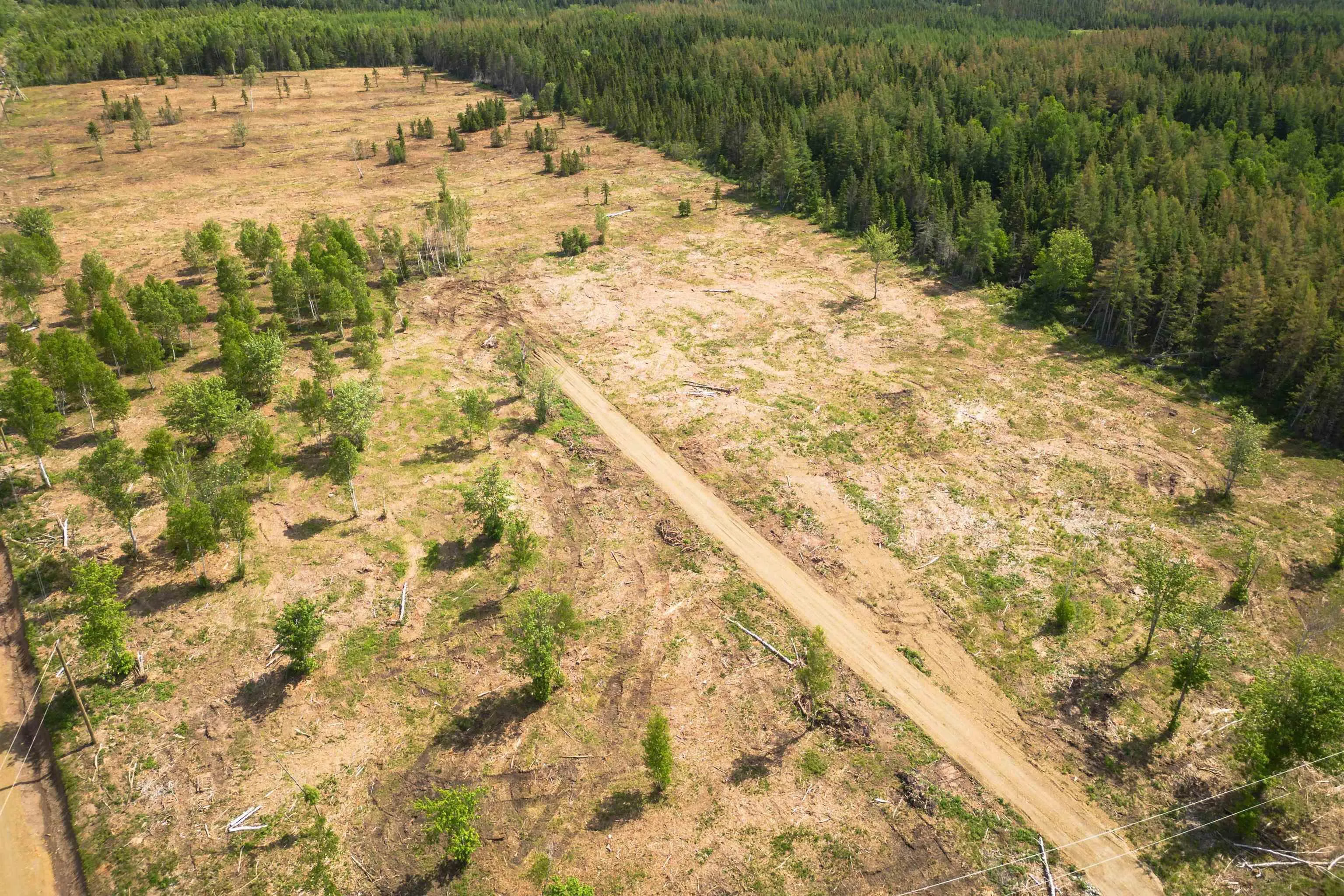 Whycocomagh-port Hood Road Lot 1, Mabou Ns B0e 1x0, ,Land,For Sale,Whycocomagh-Port Hood,202506913