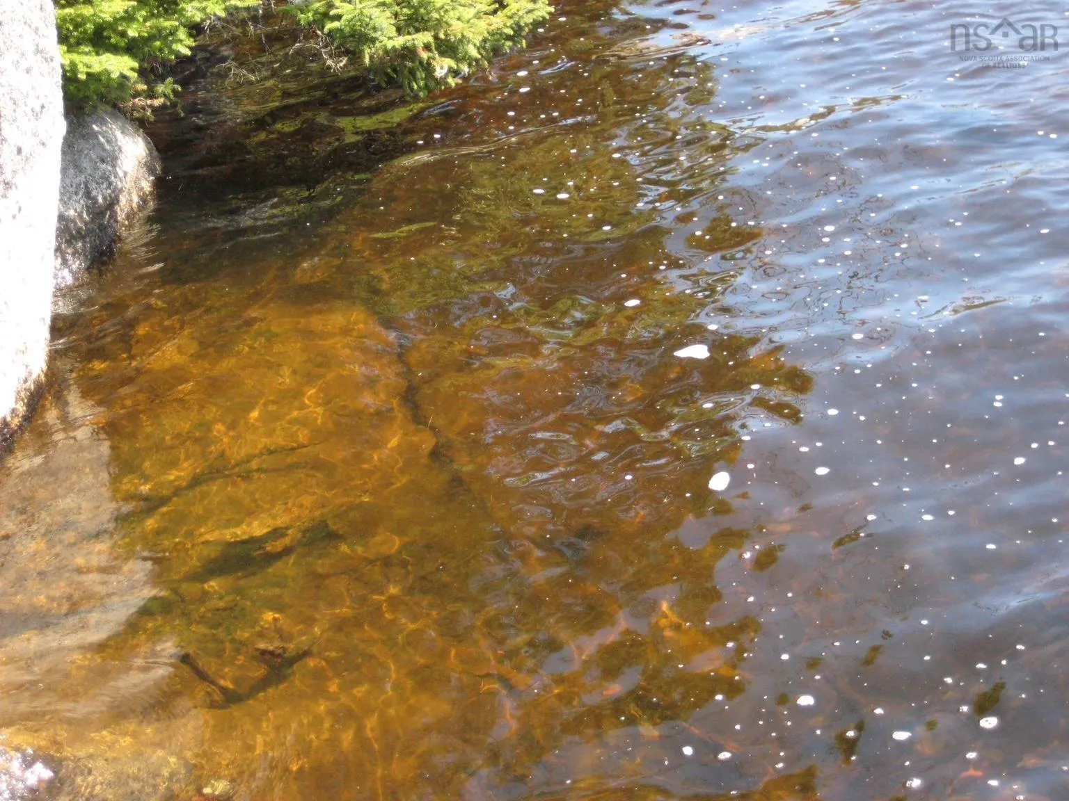 Newmans Lake Lot 4, Tangier, NS B0J 3H0, ,Land,For Sale,Newmans,202523594