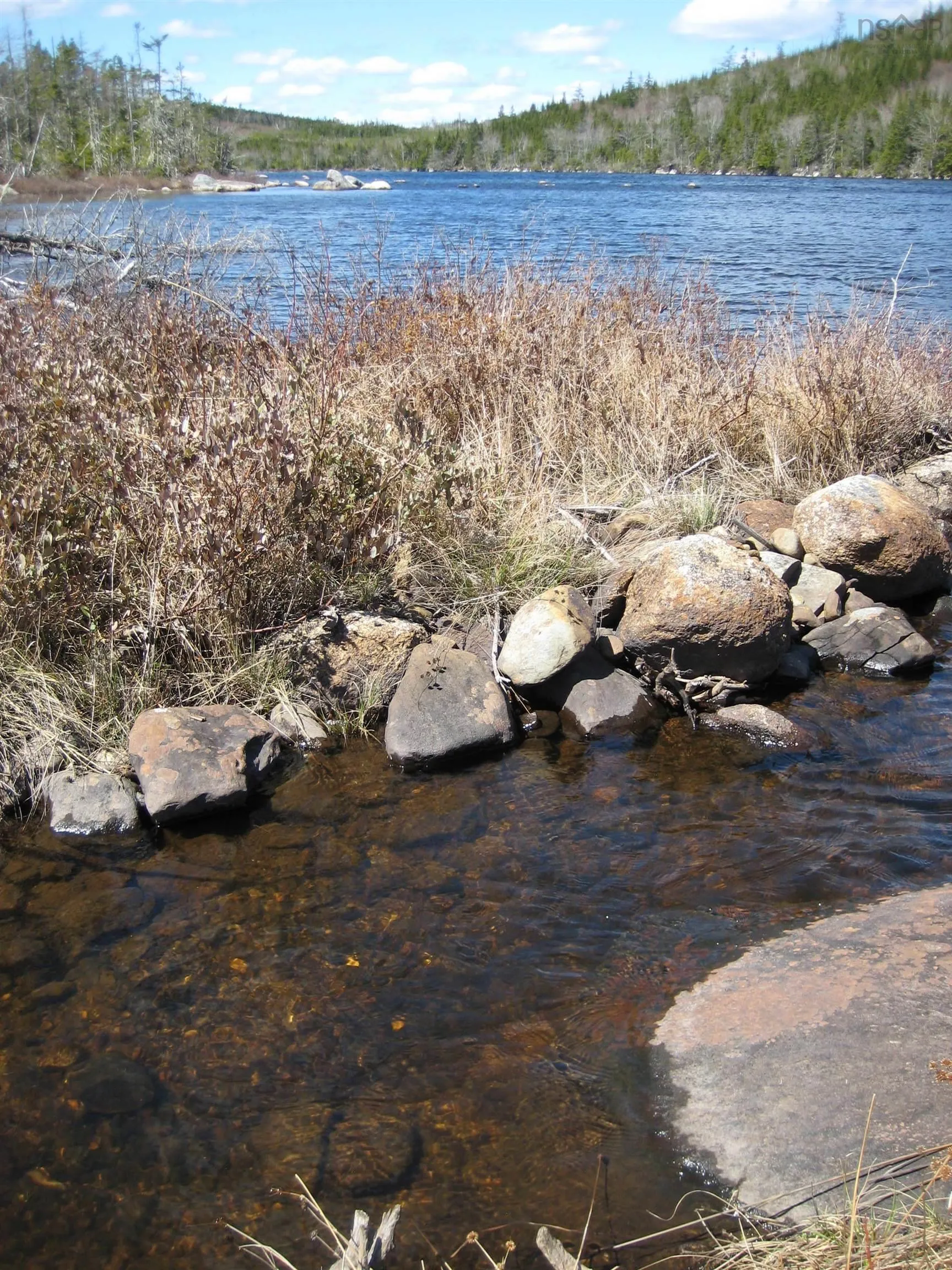 Newmans Lake Lot 4, Tangier, NS B0J 3H0, ,Land,For Sale,Newmans,202523594