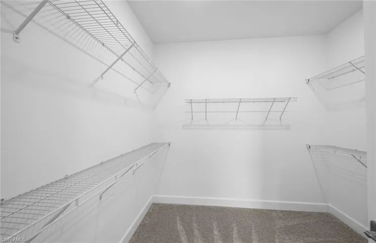 Spacious closet featuring carpet flooring