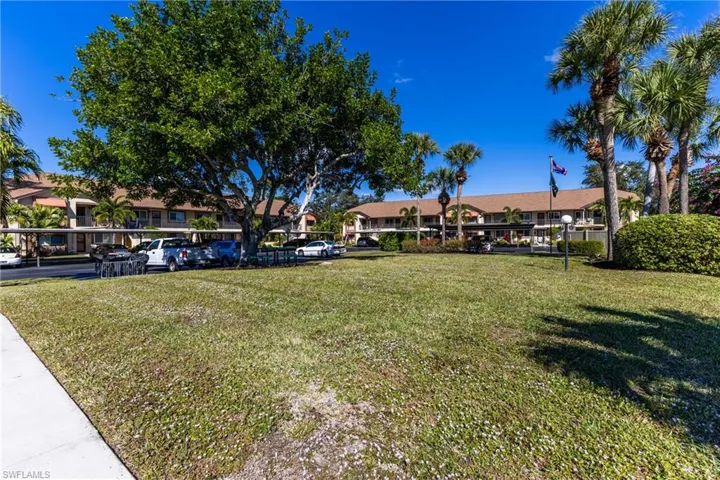 View of grassy yard