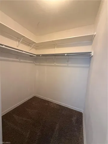Walk in closet with dark colored carpet