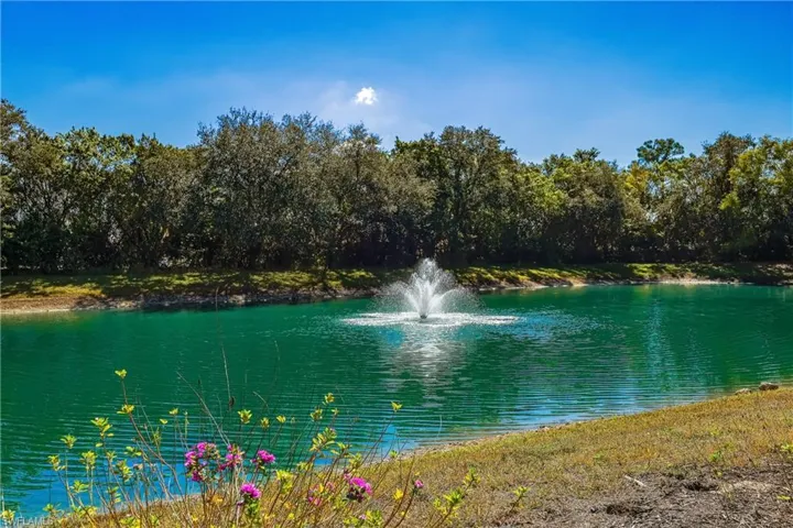 Water view