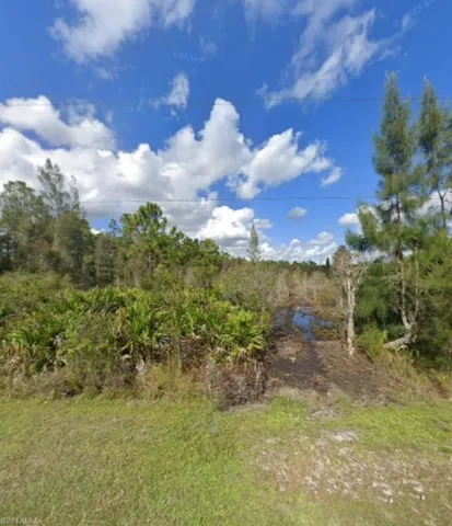 View of undeveloped land