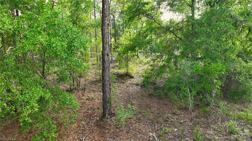 155 S Kennel St, Montura Ranches Fl 33440