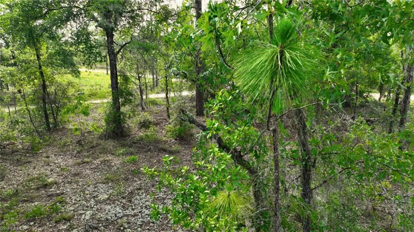 155 S Kennel St, Montura Ranches Fl 33440