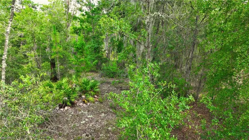 155 S Kennel St, Montura Ranches Fl 33440
