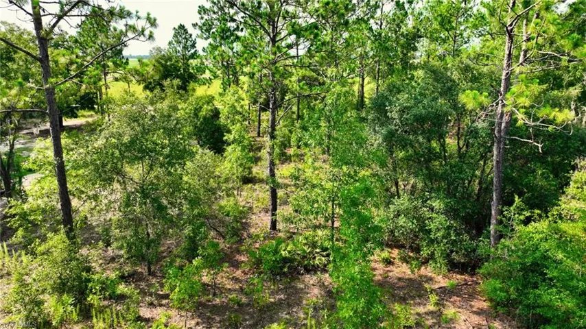 155 S Kennel St, Montura Ranches Fl 33440