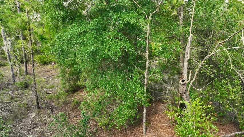 155 S Kennel St, Montura Ranches Fl 33440