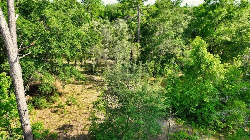 155 S Kennel St, Montura Ranches Fl 33440