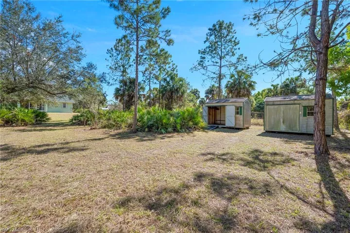 View of green lawn with a shed
