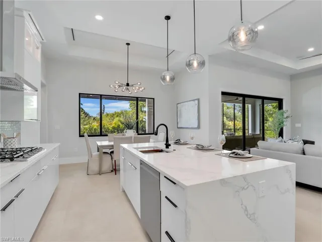 Kitchen featuring modern cabinets, a tray ceiling, stainless steel appliances, and a sink