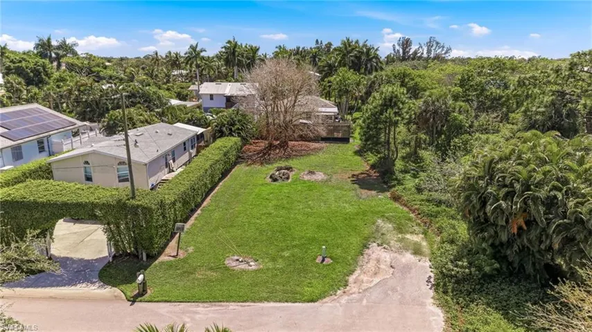 Drone / aerial view of a tree filled landscape