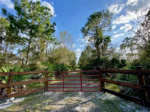 View of gate