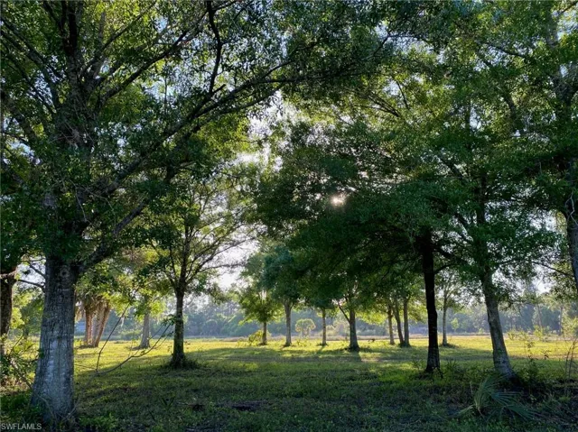 View of nature