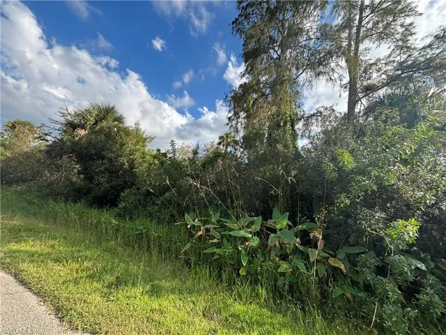 Xxx37th Ave Ne, Naples, Florida 34120