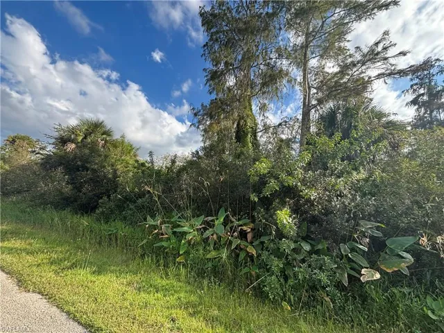 Xxx37th Ave Ne, Naples, Florida 34120