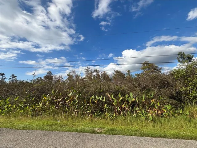 Xxx37th Ave Ne, Naples, Florida 34120