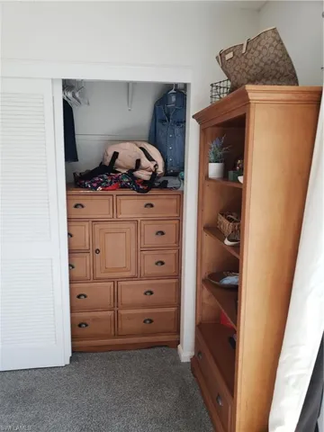Large closet area with big dresser inside closet.