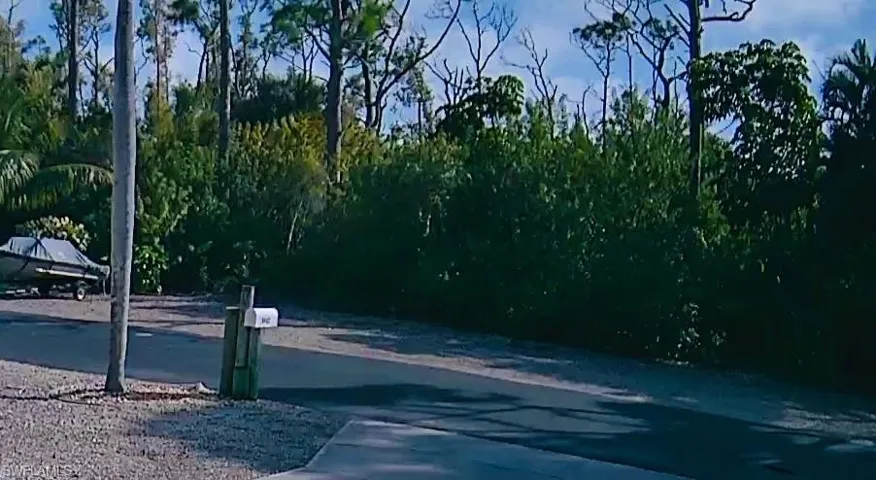 View of extra parking/trailer space across road