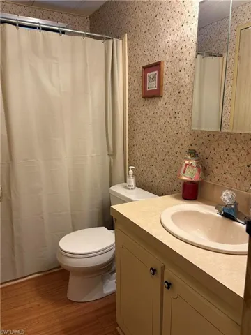 Bathroom with toilet, vanity, hardwood / wood-style floors, and a shower with shower curtain