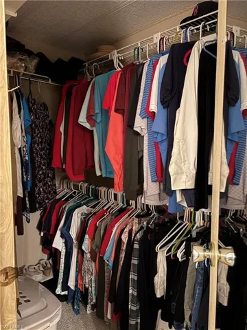 Walk in closet featuring carpet floors