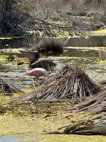 Front Row Seats to Nature!