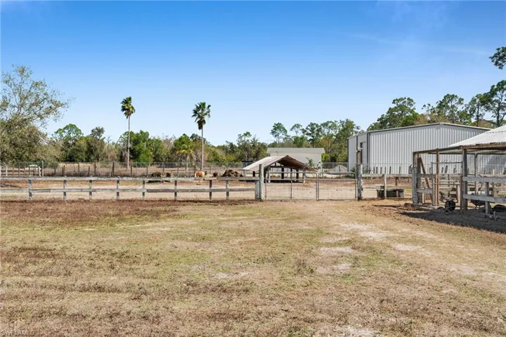 pasture