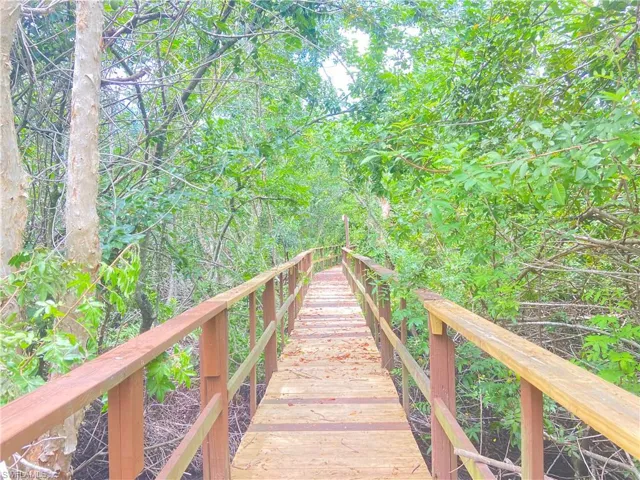 Path through the woods