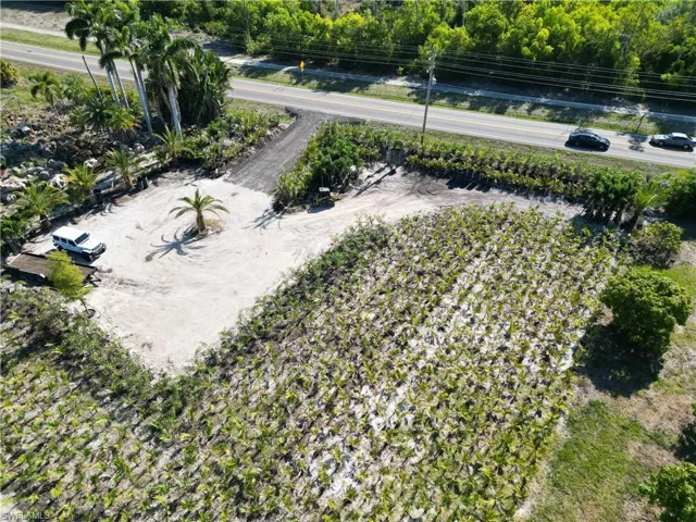 Expansive land parcel featuring a main road frontage, established palm trees, a gravel driveway, and extensive planted vegetation