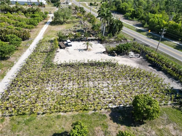 Expansive agricultural lot with visible rows of young plants