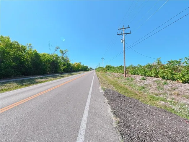 Paved roadway with clear lane markings, flanked by natural foliage and utility poles