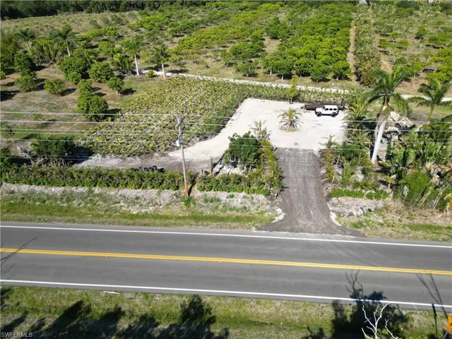Expansive land parcel featuring cultivated rows of green foliage, a gravel drive, and mature palm trees