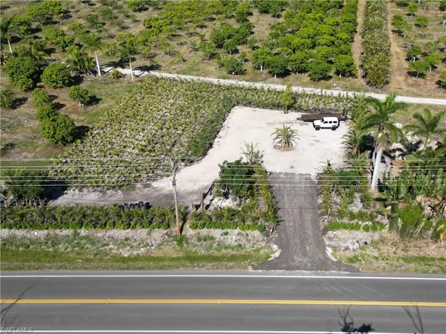 Expansive lot featuring mature palm trees, diverse plantings, and a gravel driveway