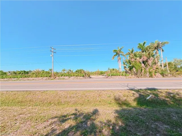 Cleared roadside land parcel with a paved road frontage, utility pole with overhead lines, and mature palm trees defining the rear boundary
