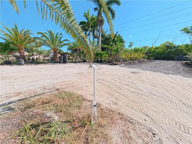 Expansive cleared lot featuring several mature palm trees, a prominent water spigot, and a gravel drive