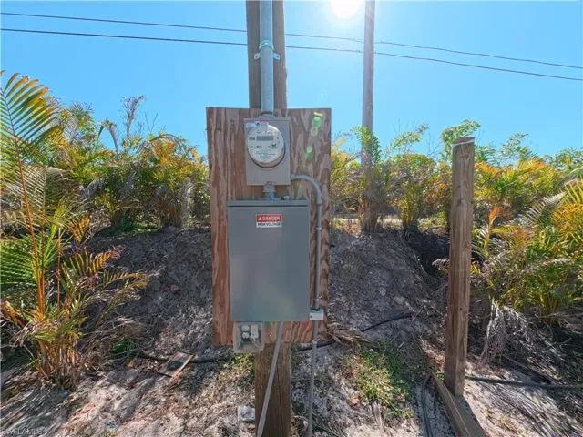 Utility pole with an attached electric meter and service panel, surrounded by natural vegetation