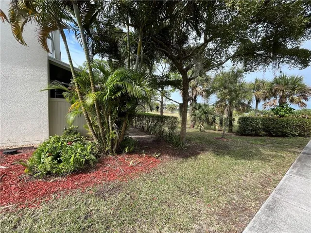 View of Backyard