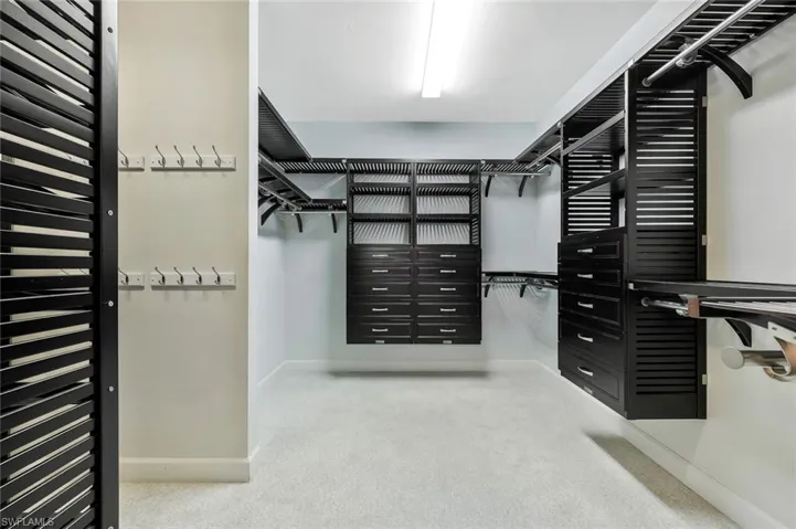 Spacious closet with carpet floors