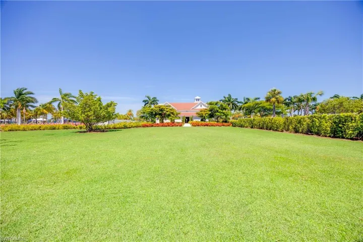 View of grassy yard