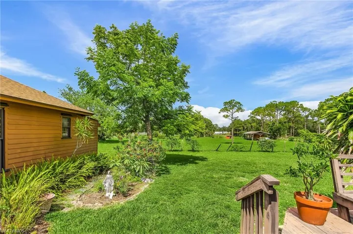 View of grassy yard