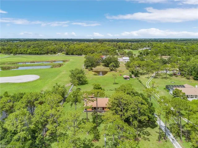 Bird's eye view of a nearby body of water and a forest