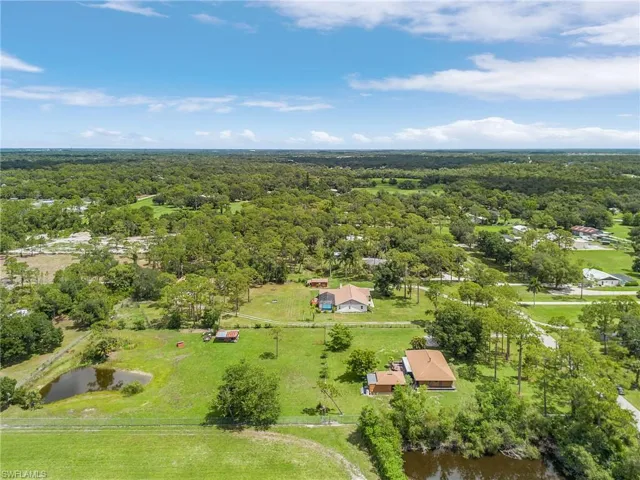 Bird's eye view of a forest and a nearby body of water