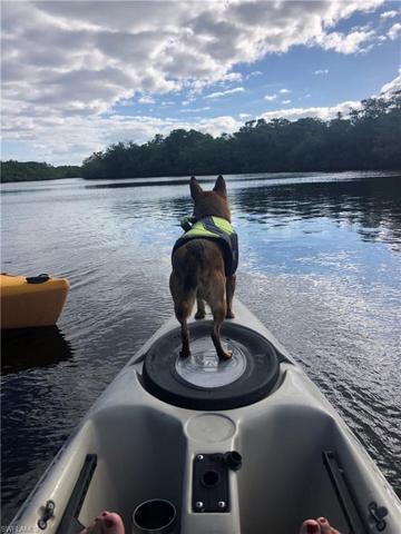 kayak in the mangrove lined waterways of Hendry Creek