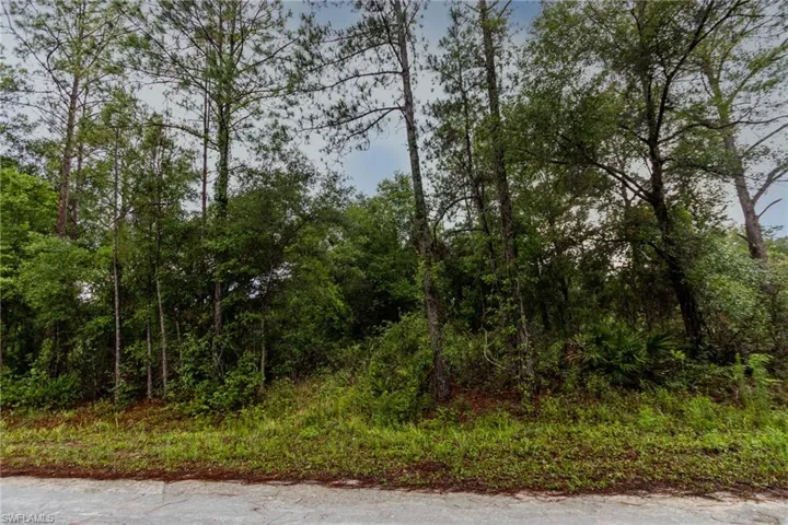 35360  Goethals  ST, Webster, FL 33597