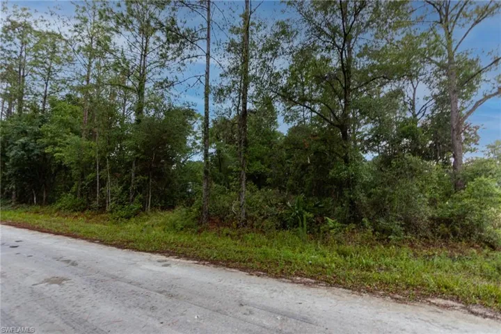 35360  Goethals  ST, Webster, FL 33597