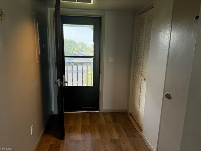 Doorway featuring a wealth of natural light and wood-type flooring