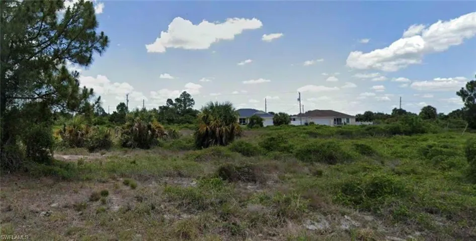 View of local wilderness